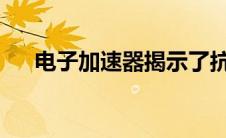 电子加速器揭示了抗氧化剂的根本秘密