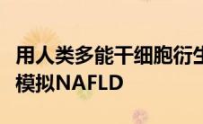 用人类多能干细胞衍生的未成熟肝细胞样细胞模拟NAFLD