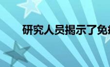 研究人员揭示了免疫系统成功的秘诀