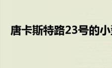 唐卡斯特路23号的小型住宅已经轰然上市