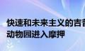 快速和未来主义的吉普万磁王带领复活节野生动物园进入摩押