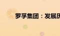 罗孚集团：发展历程、成就与挑战