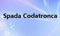 Spada Codatronca：未来科技的神秘之剑