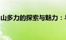 山多力的探索与魅力：与自然共舞的力量传奇