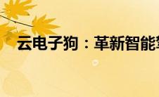 云电子狗：革新智能驾驶技术的关键先锋