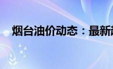 烟台油价动态：最新趋势与影响因素分析