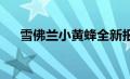 雪佛兰小黄蜂全新报价及详细信息解析