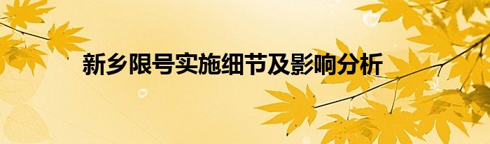 新乡限号实施细节及影响分析