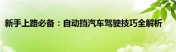 新手上路必备：自动挡汽车驾驶技巧全解析