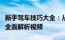 新手驾车技巧大全：从驾驶基础到进阶技能的全面解析视频