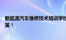 新能源汽车维修技术培训学校：专业塑造未来，培养技术精英！