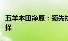 五羊本田净原：领先技术的环保电动出行新选择