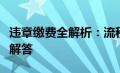 违章缴费全解析：流程、注意事项及常见问题解答