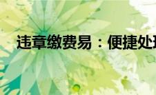 违章缴费易：便捷处理交通罚款的新选择