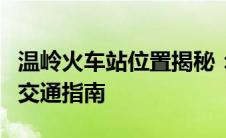 温岭火车站位置揭秘：详细地址、周边环境与交通指南