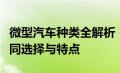 微型汽车种类全解析：从经济型到豪华型的不同选择与特点