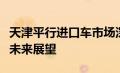 天津平行进口车市场深度解析：趋势、优势与未来展望