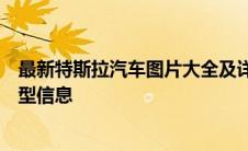 最新特斯拉汽车图片大全及详细报价，全方位了解特斯拉车型信息