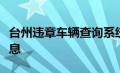 台州违章车辆查询系统：实时掌握车辆违规信息