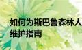 如何为斯巴鲁森林人进行全方位的保养——维护指南