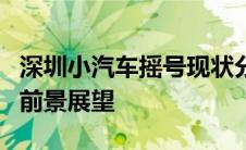 深圳小汽车摇号现状分析：僧多粥少的局面与前景展望