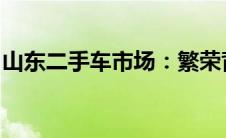 山东二手车市场：繁荣背后的故事与趋势分析