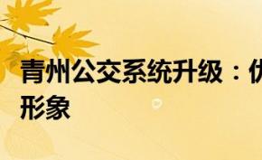 青州公交系统升级：优化出行体验，提升城市形象